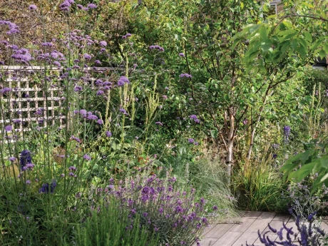 miria_harris_zero_garden_490_preview-edited-scaled.jpg.webp