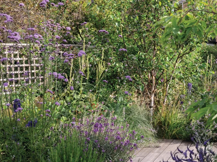 miria_harris_zero_garden_490_preview-edited-scaled.jpg.webp