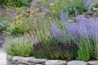 3-JI_240718_DucanNuttall_039.jpg-2.webp