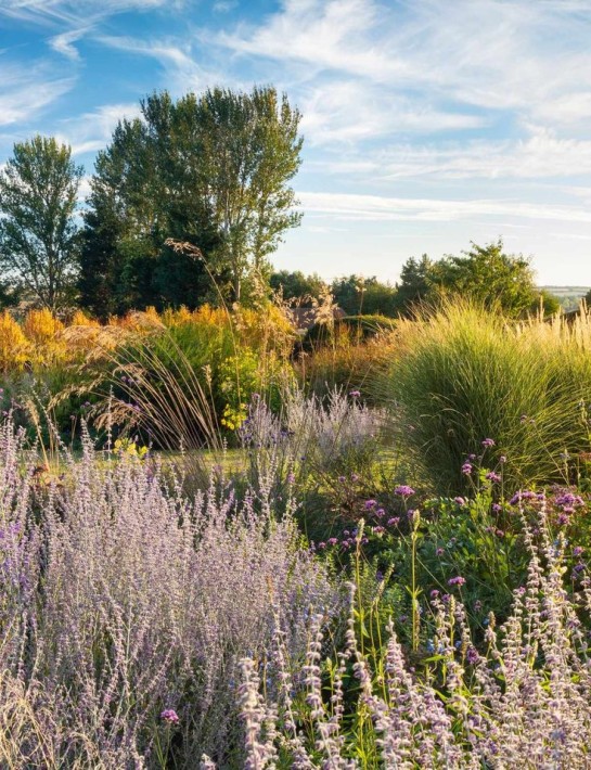 A prairie garden and how to plant one | Gardens Illustrated.jpg