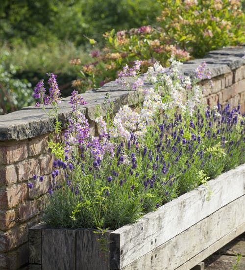 Lavender combinations.jpg