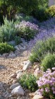 15 Stunning Yet Functional Backyard Herb Garden Ideas.jpg